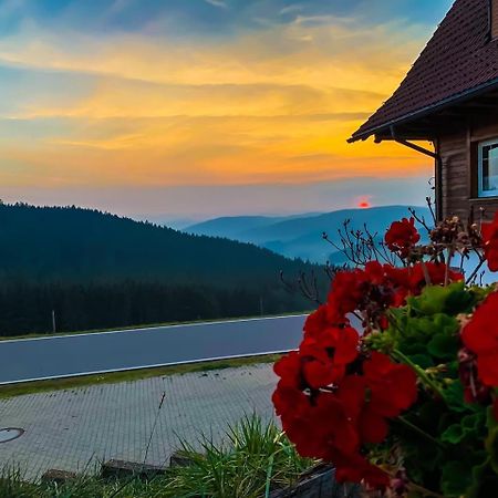 Pension Forsthaus Taele - Das Gaestehaus Vom Schwarzwaldgasthaus Salenhof Тітізе-Нойштадт Екстер'єр фото