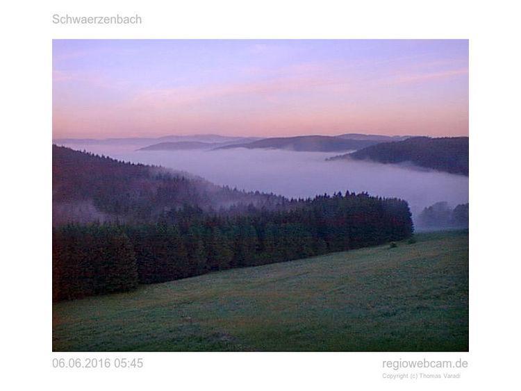 Pension Forsthaus Taele - Das Gaestehaus Vom Schwarzwaldgasthaus Salenhof Тітізе-Нойштадт Екстер'єр фото