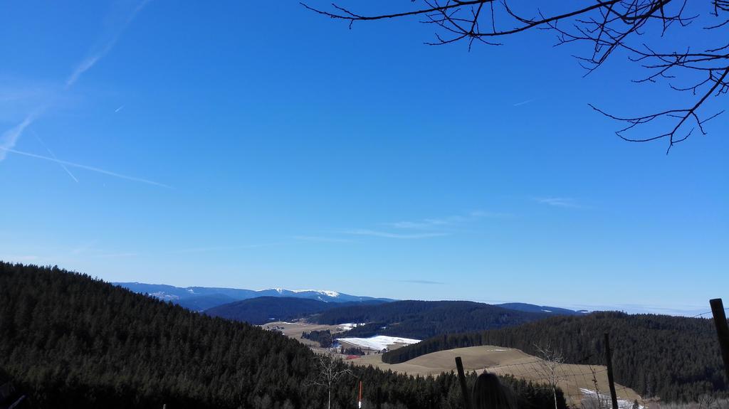 Pension Forsthaus Taele - Das Gaestehaus Vom Schwarzwaldgasthaus Salenhof Тітізе-Нойштадт Екстер'єр фото