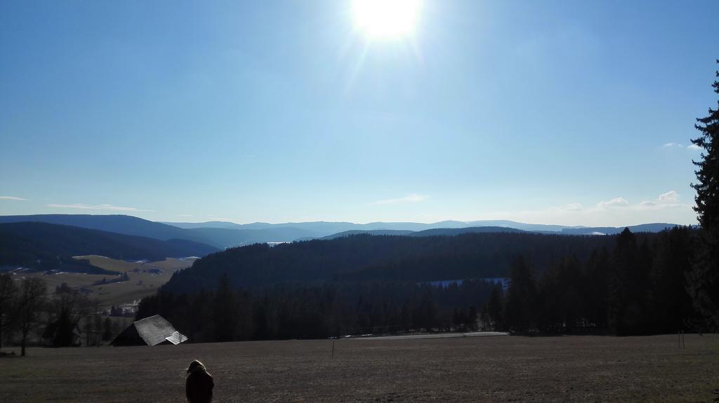 Pension Forsthaus Taele - Das Gaestehaus Vom Schwarzwaldgasthaus Salenhof Тітізе-Нойштадт Екстер'єр фото