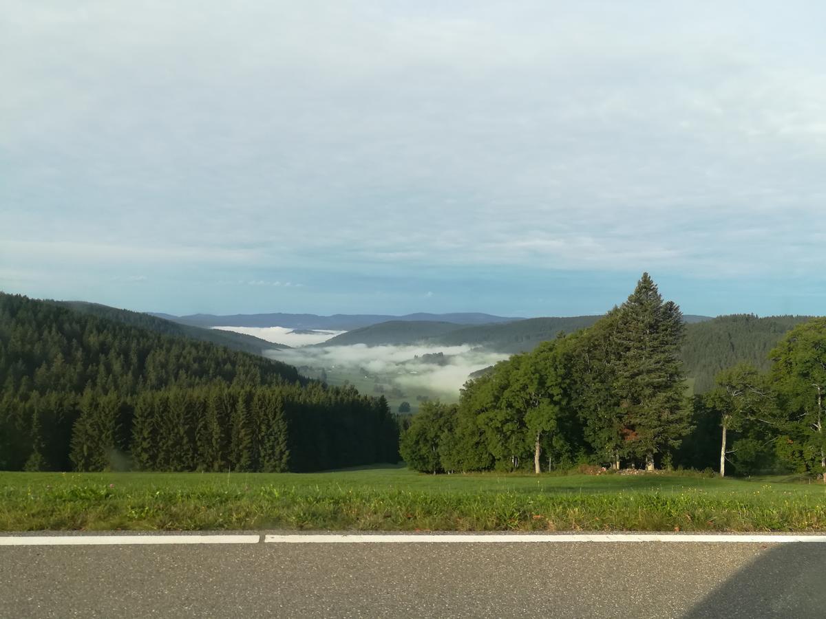 Pension Forsthaus Taele - Das Gaestehaus Vom Schwarzwaldgasthaus Salenhof Тітізе-Нойштадт Екстер'єр фото