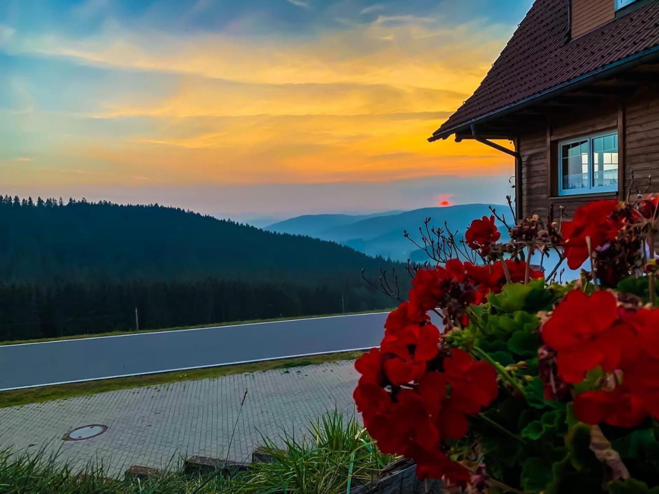 Pension Forsthaus Taele - Das Gaestehaus Vom Schwarzwaldgasthaus Salenhof Тітізе-Нойштадт Екстер'єр фото